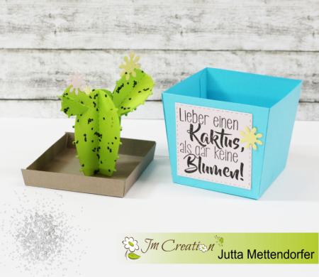 Stanzschablone - Kaktus-Box