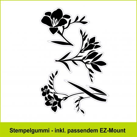 Fresien - Stempelgummi