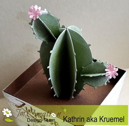 Stanzschablone - Kaktus-Box