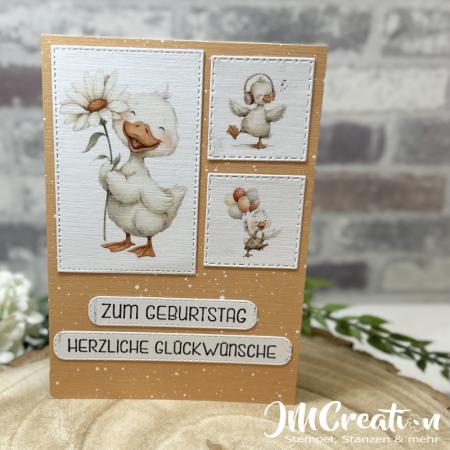 Gänse Kärtchen - Serie Gänseglück - Designpapier