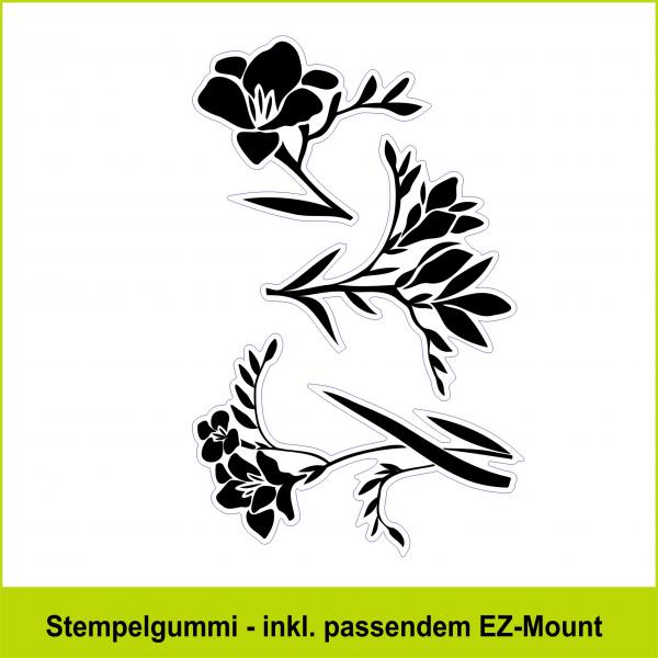 Fresien - Stempelgummi